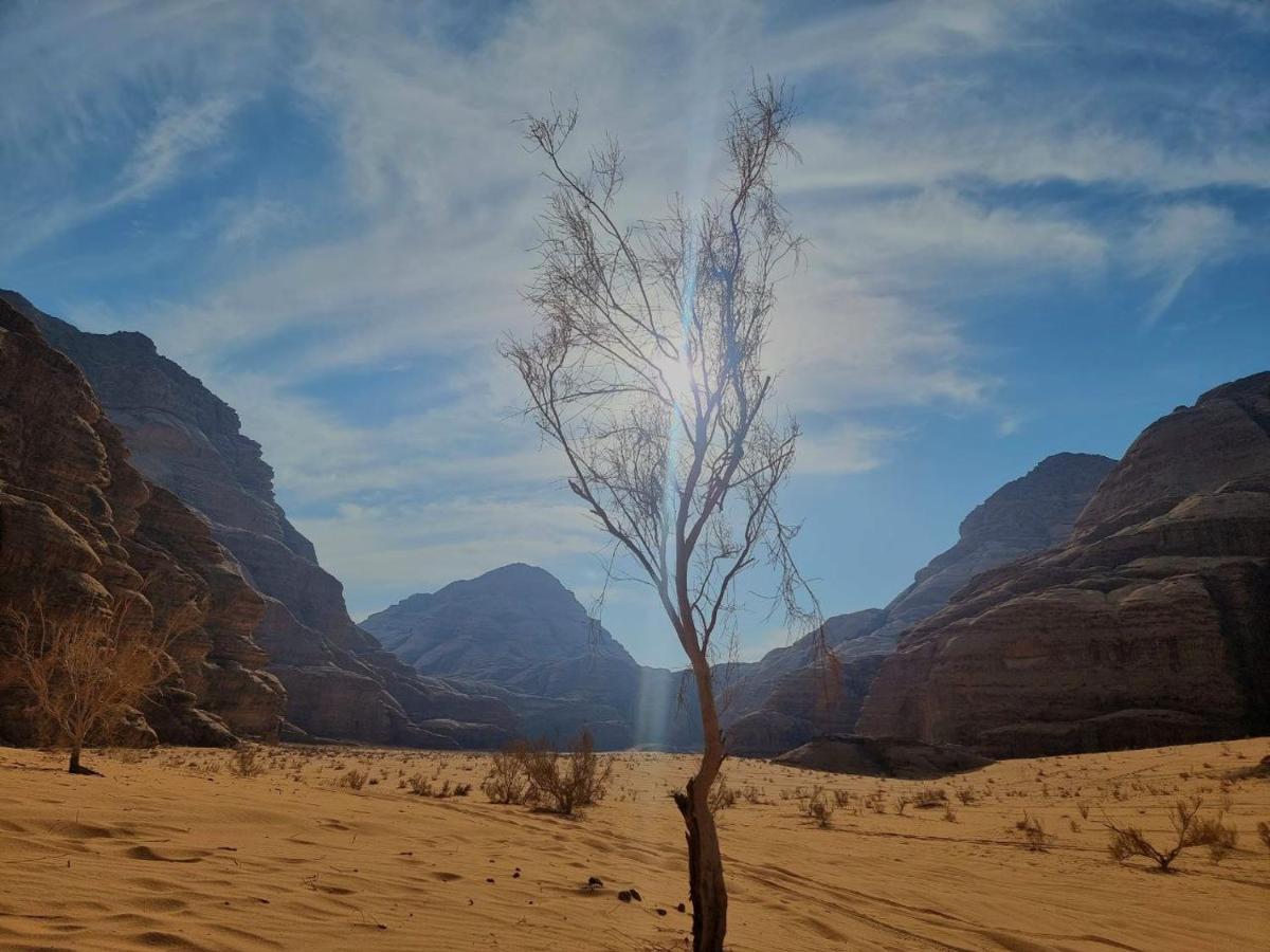 Wadi Rum Oscar Camp Exterior photo